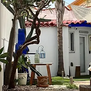 Garden-goretti House , Mairena del Aljarafe España
